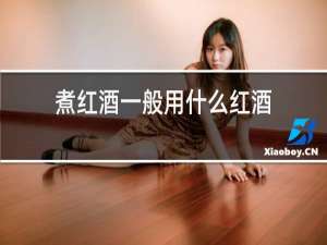 煮红酒一般用什么红酒