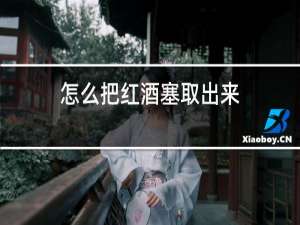 怎么把红酒塞取出来
