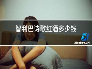 智利巴诗歌红酒多少钱