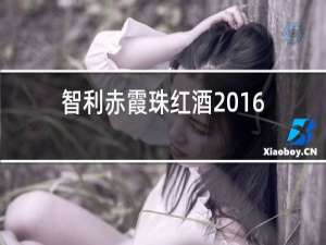 智利赤霞珠红酒2016价格