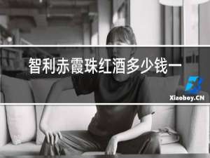 智利赤霞珠红酒多少钱一瓶
