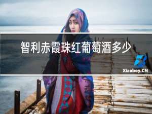 智利赤霞珠红葡萄酒多少钱