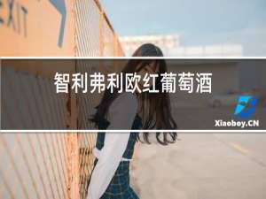 智利弗利欧红葡萄酒