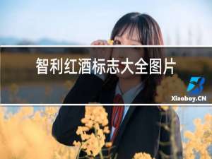 智利红酒标志大全图片