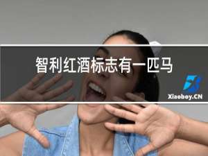 智利红酒标志有一匹马