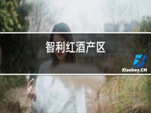 智利红酒产区
