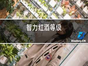 智利红酒等级