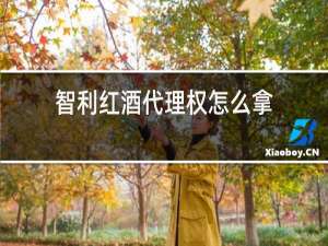 智利红酒代理权怎么拿