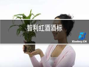 智利红酒级别