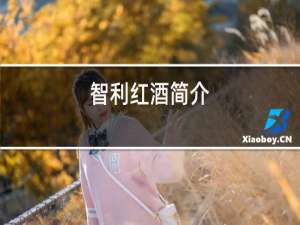 智利红酒简介