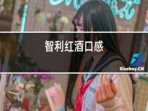 智利红酒口感