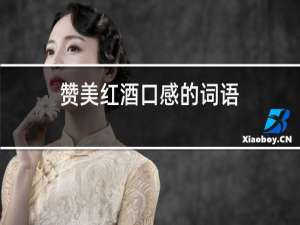 赞美红酒口感的词语
