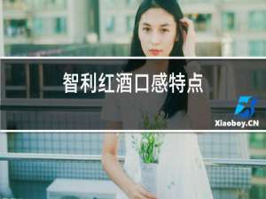 智利红酒口感特点