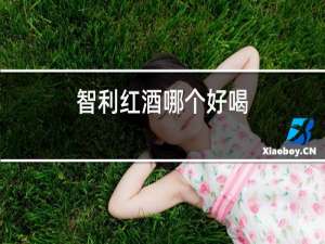 智利红酒哪个好喝