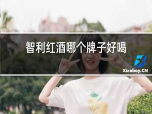 智利红酒哪个牌子好喝