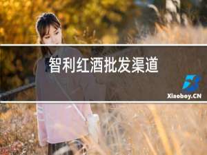 智利红酒批发渠道