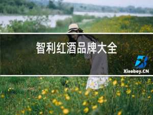 智利红酒品牌大全