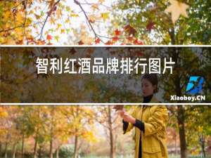 智利红酒品牌排行图片