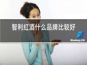 智利红酒什么品牌比较好