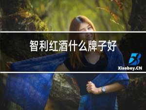 智利红酒什么牌子好