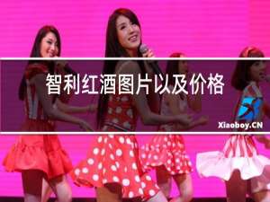 智利红酒图片以及价格