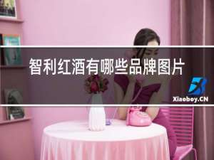 智利红酒有哪些品牌图片