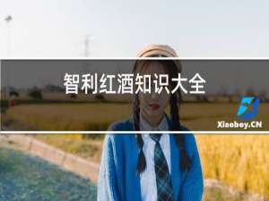 智利红酒知识大全