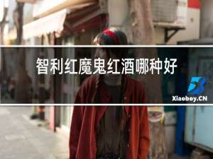 智利红魔鬼红酒哪种好