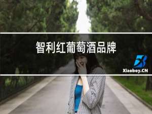 智利红葡萄酒品牌