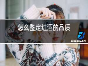 怎么鉴定红酒的品质