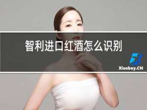 智利进口红酒怎么识别