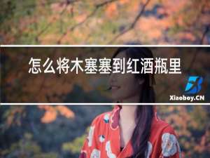 怎么将木塞塞到红酒瓶里?