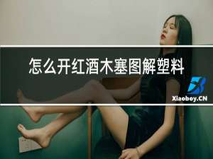 怎么开红酒木塞图解塑料开瓶器图解