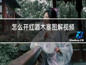 怎么开红酒木塞图解视频