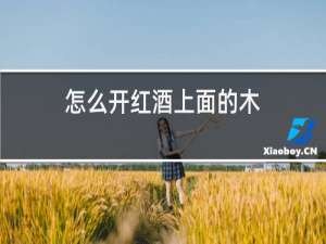 怎么开红酒上面的木