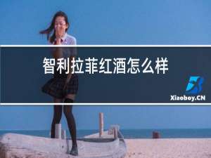 智利拉菲红酒怎么样