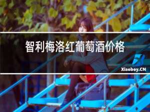 智利梅洛红葡萄酒价格