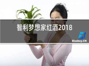 智利梦想家红酒2018