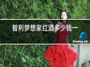 智利梦想家红酒多少钱一箱