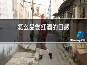 怎么品尝红酒的口感