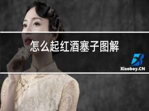 怎么起红酒塞子图解