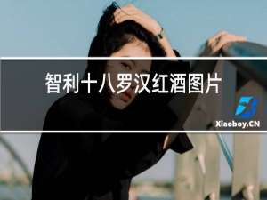 智利十八罗汉红酒图片