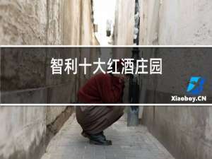 智利十大红酒庄园