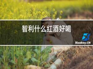 智利什么红酒好喝