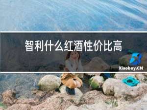 智利什么红酒性价比高