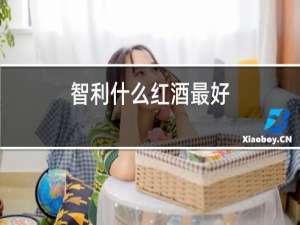 智利什么红酒最好