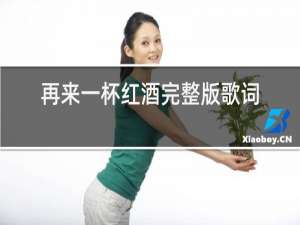 再来一杯红酒完整版歌词