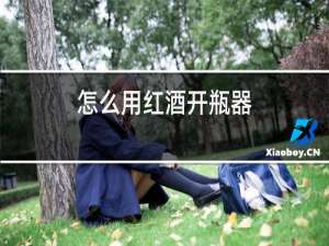 怎么用红酒开瓶器