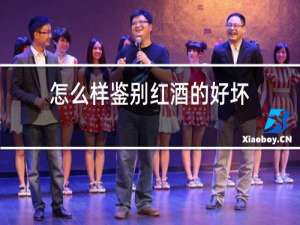 怎么样鉴别红酒的好坏