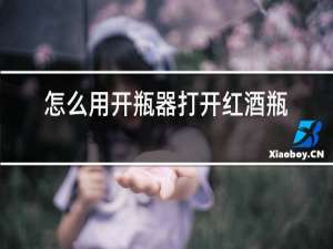 怎么用开瓶器打开红酒瓶塞视频